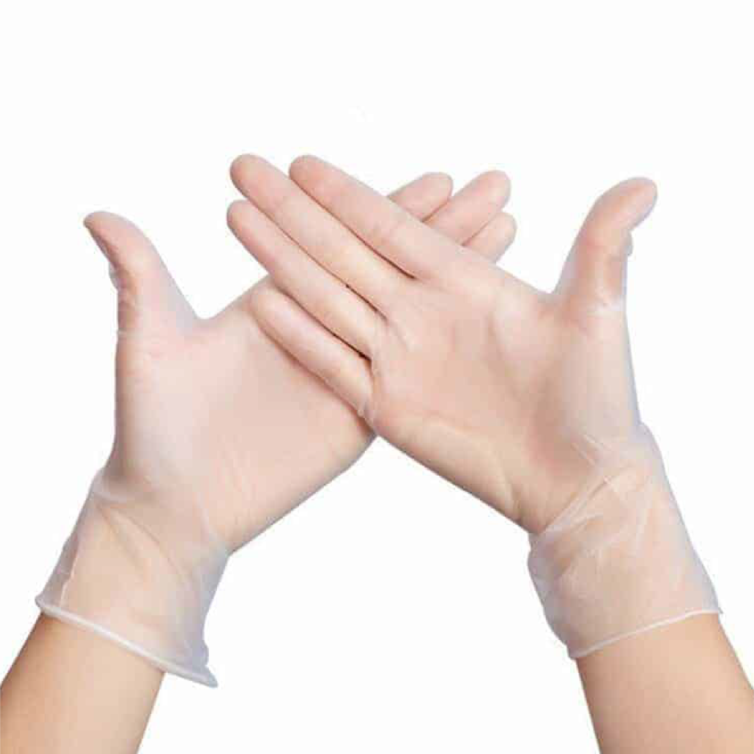 Vinyl Gloves